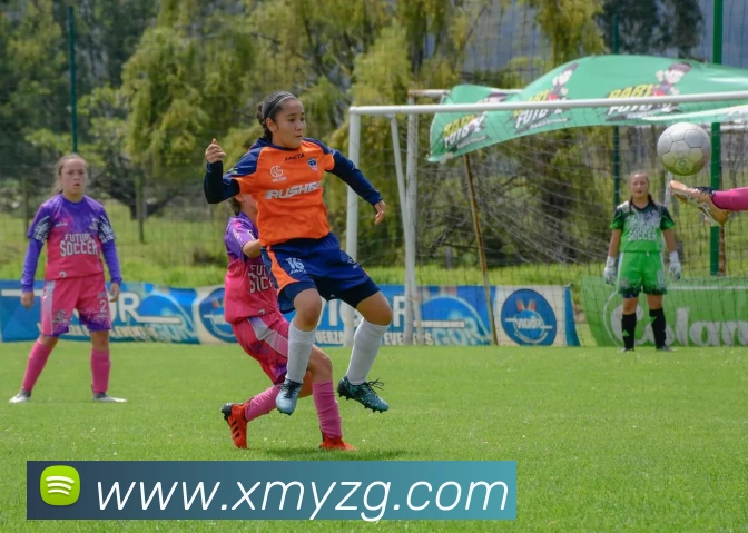 开云在线官网登录入口品牌故事